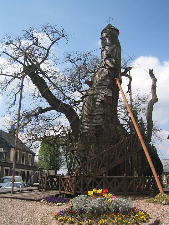 chapel oak, normandy