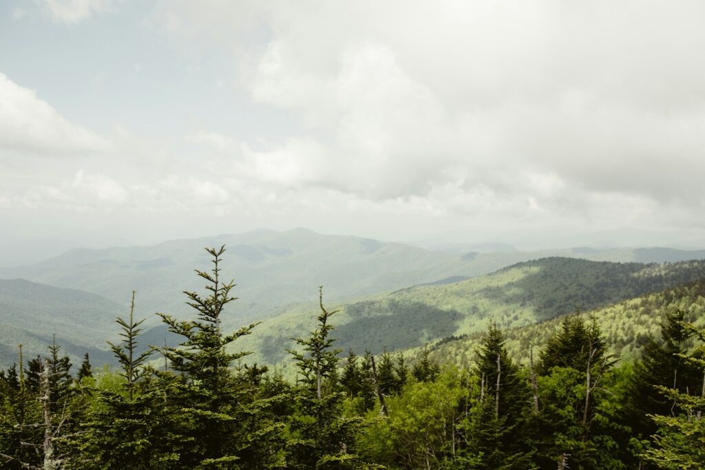 Great Smoky Mountains National Park